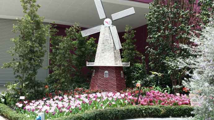 Domes-06.jpeg Domes 06