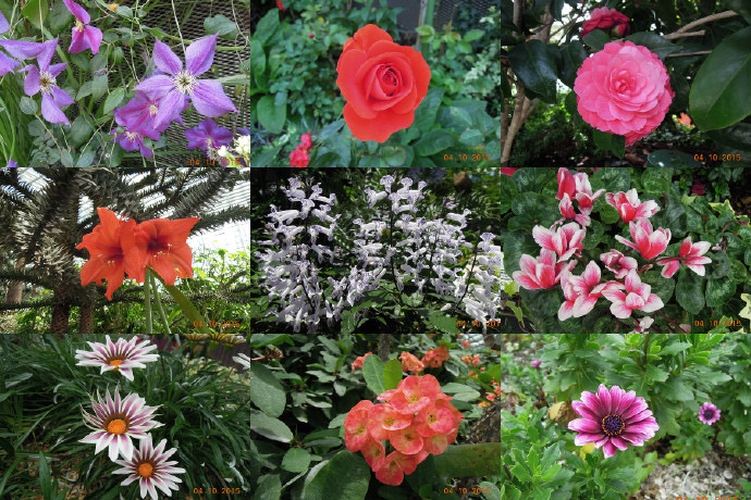 Domes-09.jpeg Domes 09