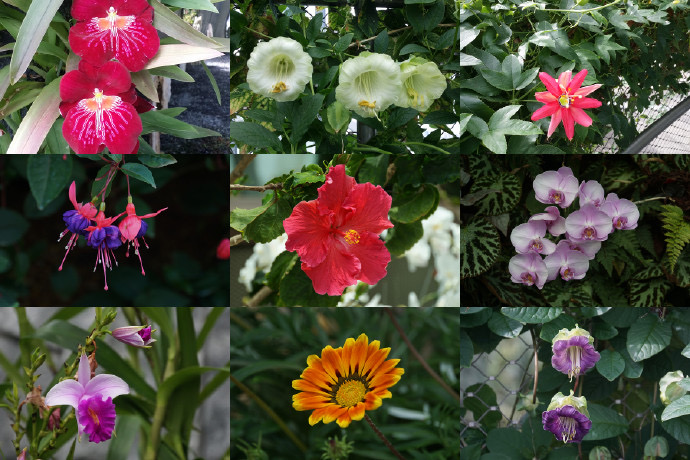 Domes-10.jpeg Domes 10