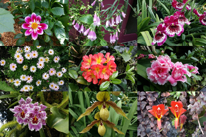 Domes-11.jpeg Domes 11