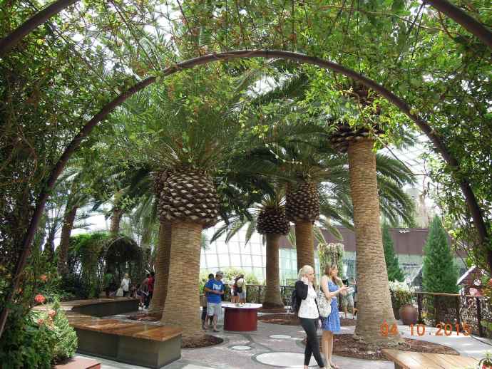 Domes-12.jpeg Domes 12