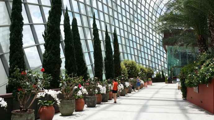 Domes-14.jpeg Domes 14