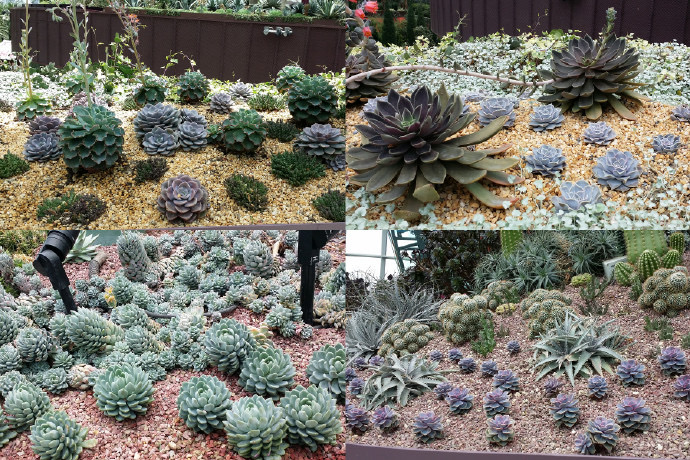 Domes-16.jpeg Domes 16