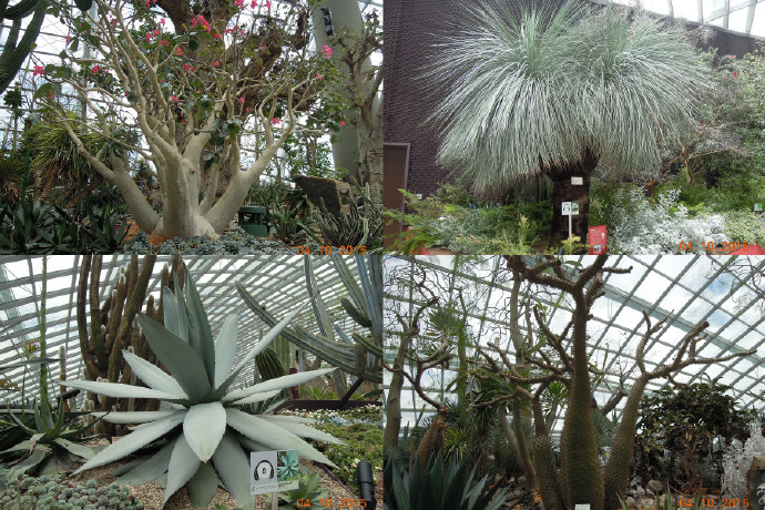 Domes-17.jpeg Domes 17