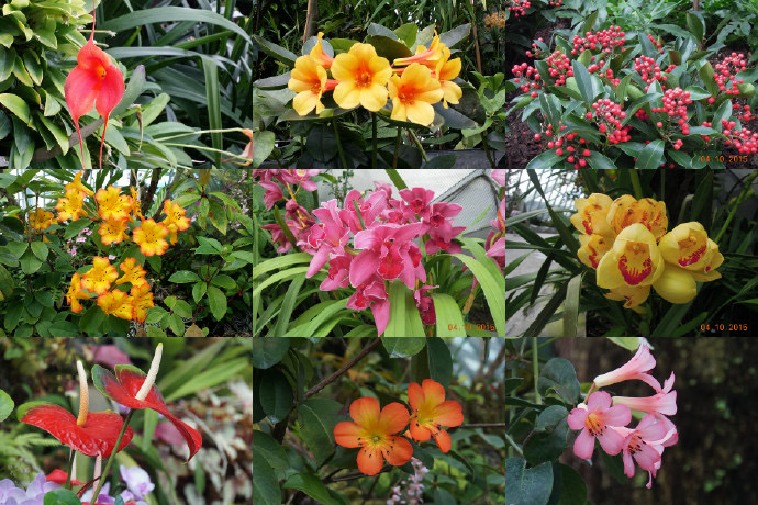 Domes-24.jpeg Domes 24