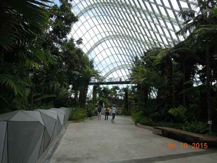 Domes-26.jpeg Domes 26