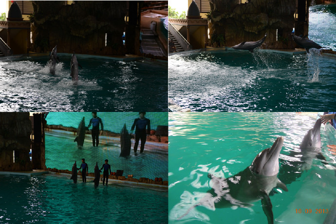 DufanThemePrk-18.jpeg DufanThemePrk 18