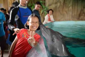 Read more about the article 雅加达Ancole Dreamland Park