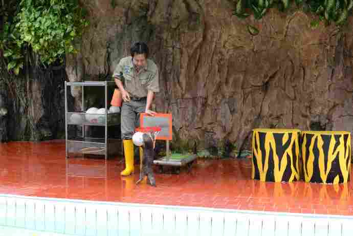 DufanThemePrk-20.jpeg DufanThemePrk 20