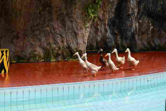 DufanThemePrk-21.jpeg DufanThemePrk 21