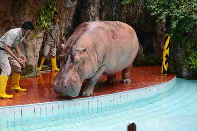 DufanThemePrk-22.jpeg DufanThemePrk 22