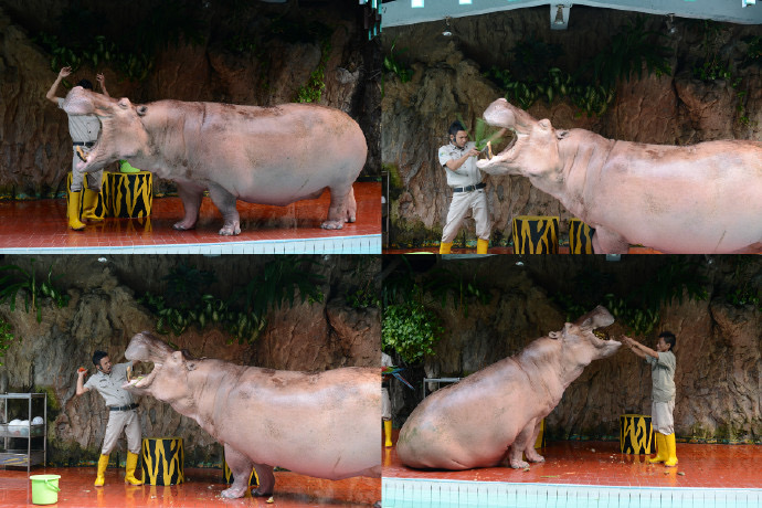 DufanThemePrk-23.jpeg DufanThemePrk 23