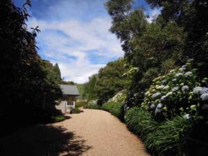 Read more about the article 2013.12.1 FOXTON PARK