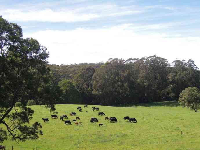 FoxtonPark-09.jpeg FoxtonPark 09