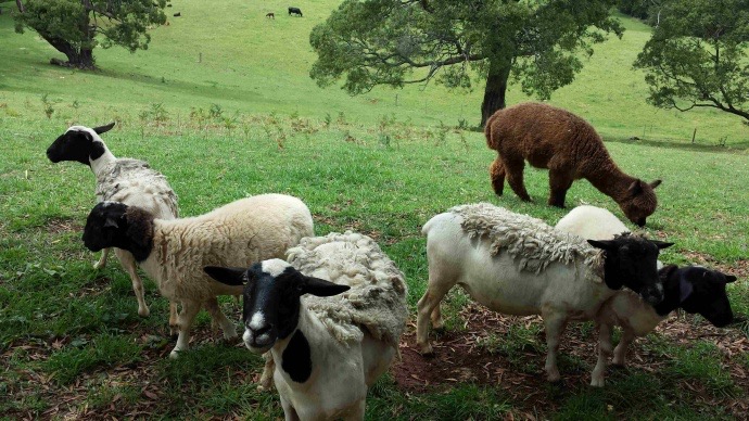 FoxtonPark-11.jpeg FoxtonPark 11