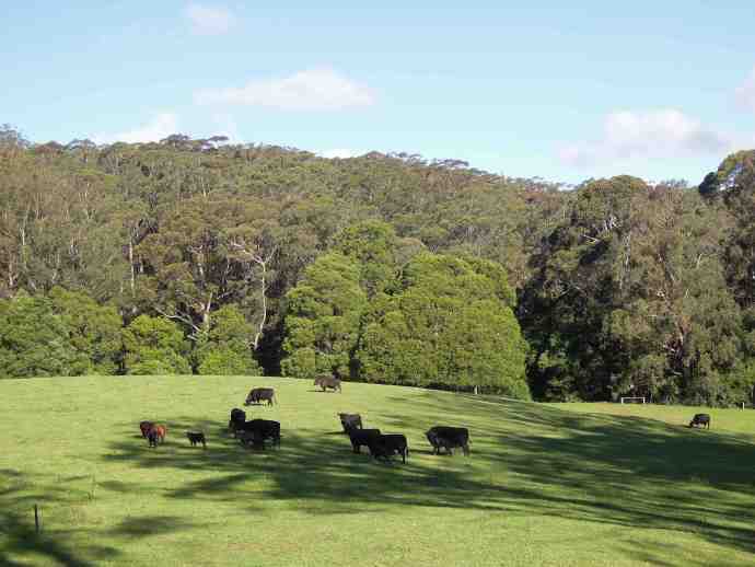 FoxtonPark-12.jpeg FoxtonPark 12