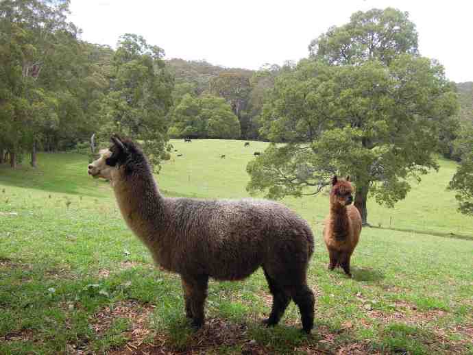 FoxtonPark-13.jpeg FoxtonPark 13