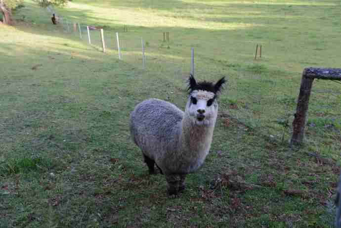 FoxtonPark-14.jpeg FoxtonPark 14