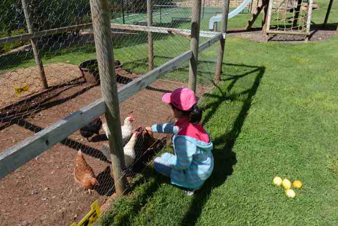 FoxtonPark-15.jpeg FoxtonPark 15