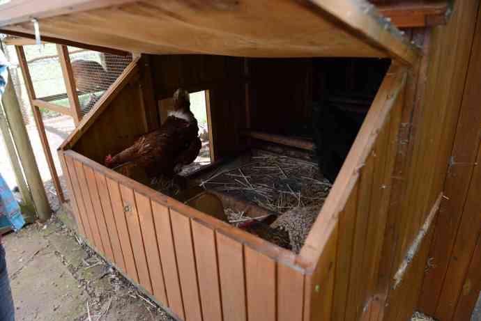 FoxtonPark-17.jpeg FoxtonPark 17