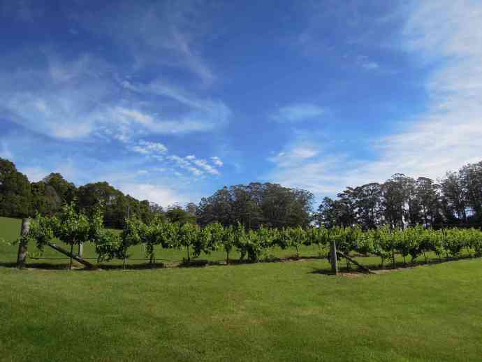 FoxtonPark-20.jpeg FoxtonPark 20