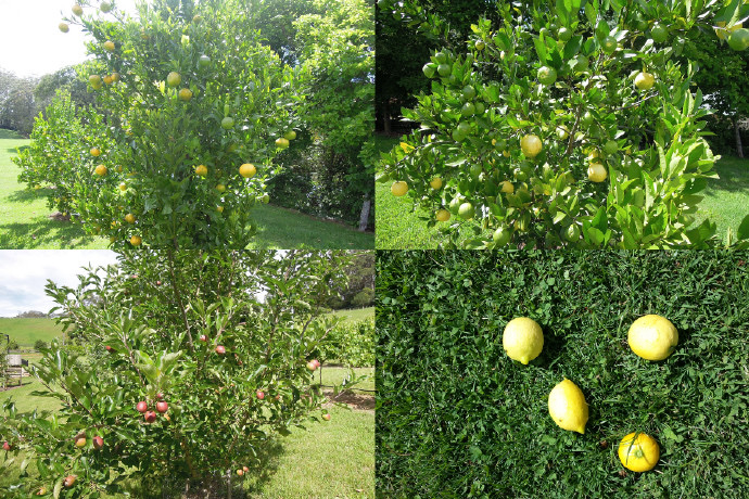 FoxtonPark-21.jpeg FoxtonPark 21