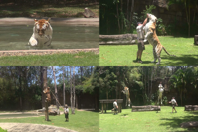 GCThemePark-07.jpeg GCThemePark 07