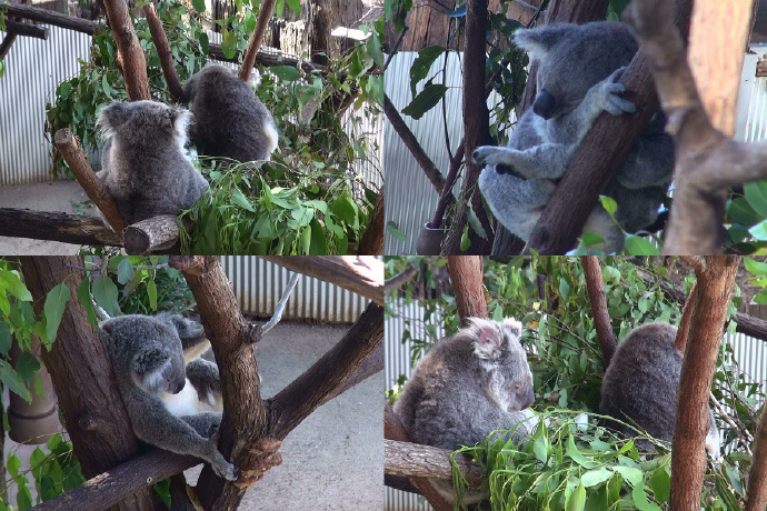 GCThemePark-13.jpeg GCThemePark 13