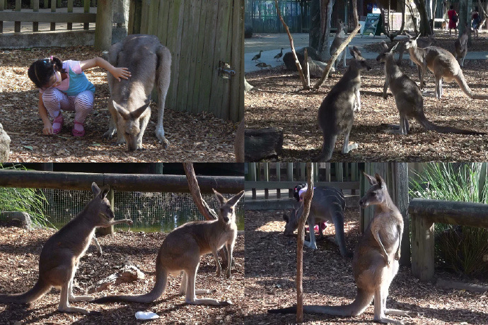 GCThemePark-14.jpeg GCThemePark 14