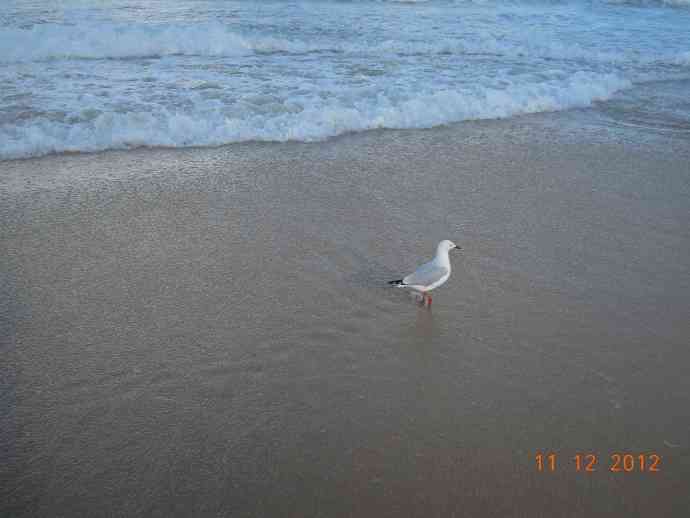 GoldCoast-06.jpeg GoldCoast 06