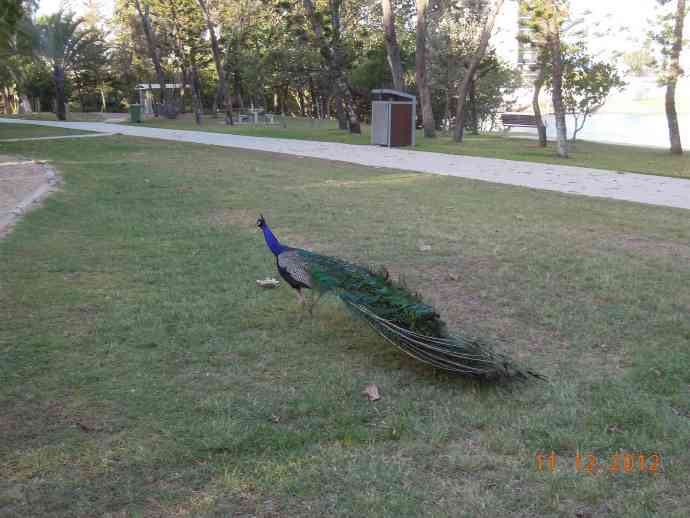 GoldCoast-12.jpeg GoldCoast 12