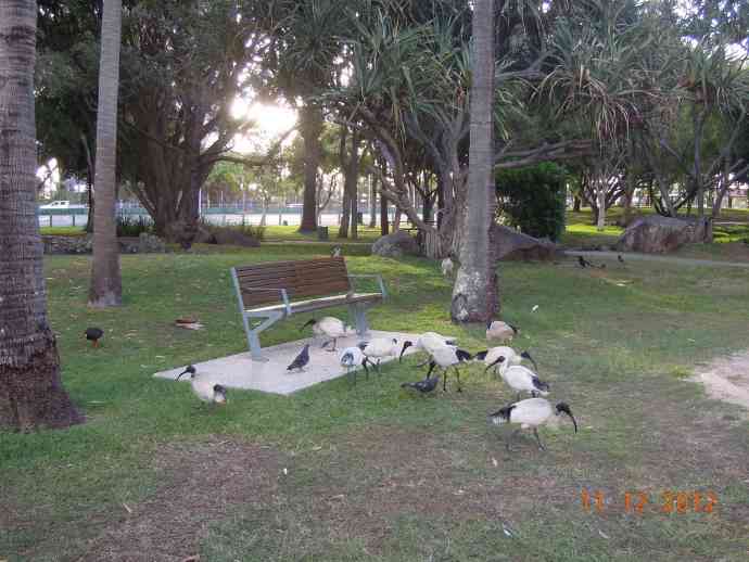 GoldCoast-13.jpeg GoldCoast 13