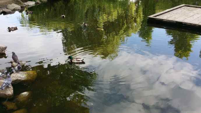 Granville-04.jpeg Granville 04