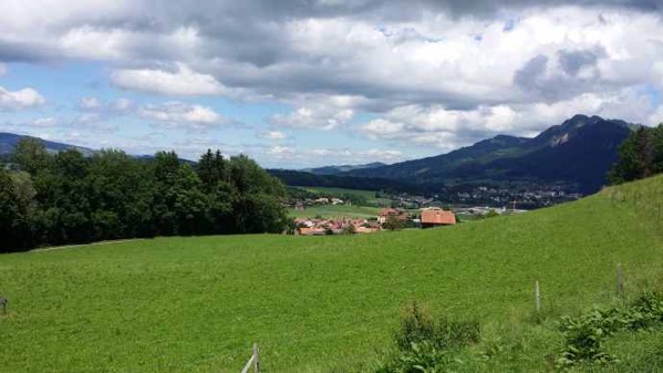 Gruiller-11.jpeg Gruiller 11