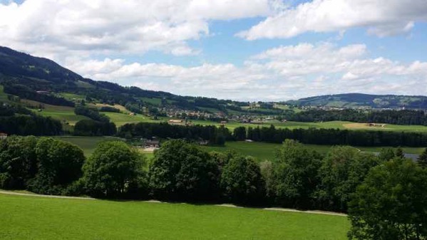 Gruiller-23.jpeg Gruiller 23