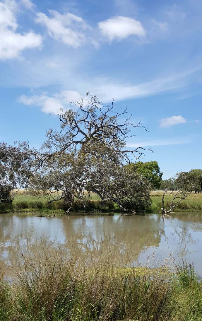 Hobart-11.jpeg Hobart 11