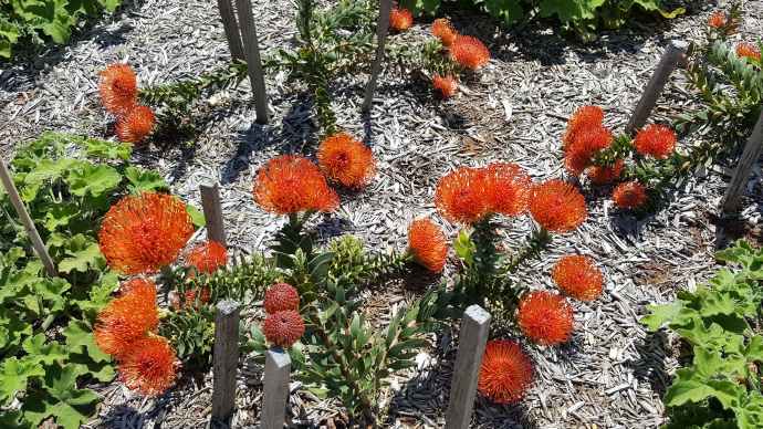 Hobart-12.jpeg Hobart 12