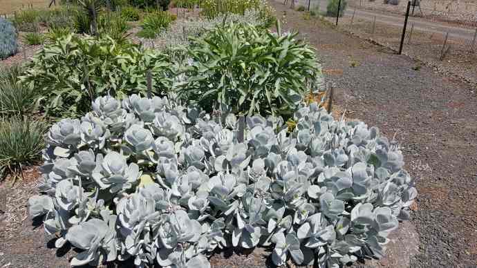 Hobart-13.jpeg Hobart 13