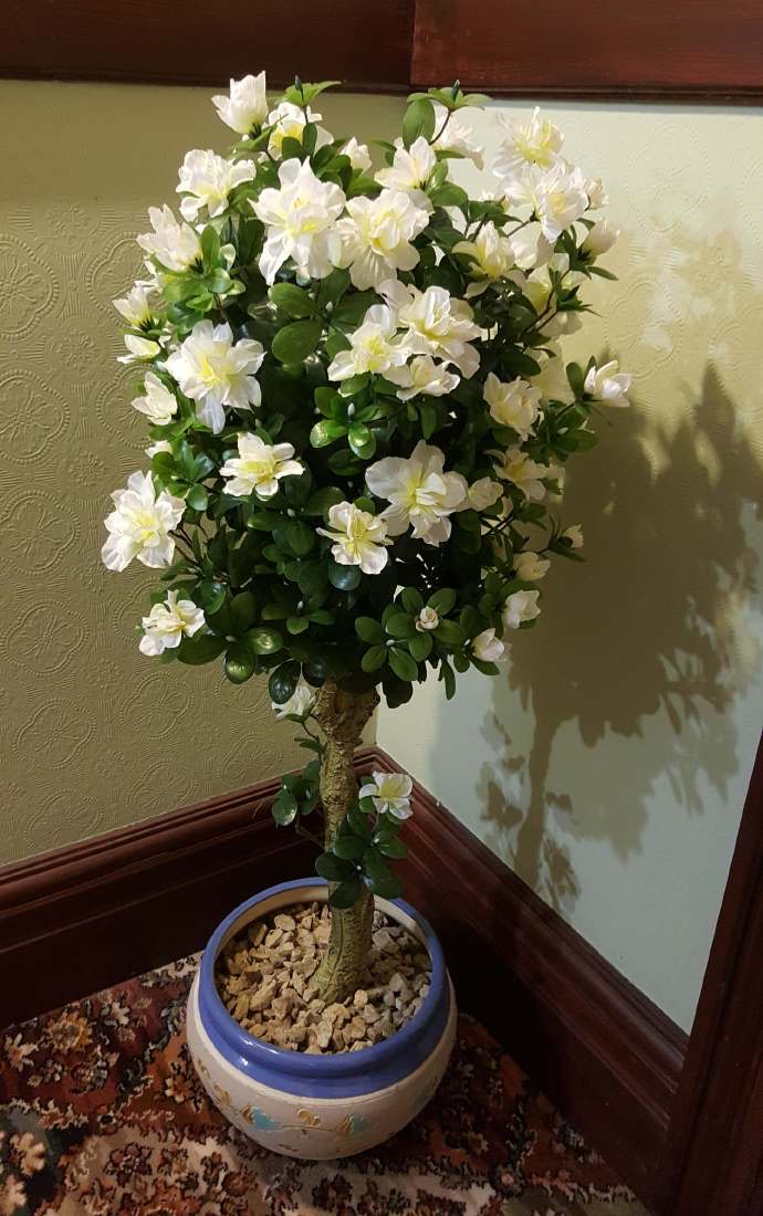 Hobart-35.jpeg Hobart 35