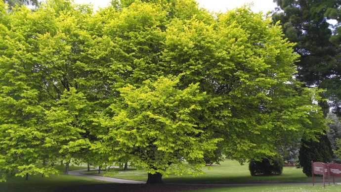 Hobart3-22.jpeg Hobart3 22