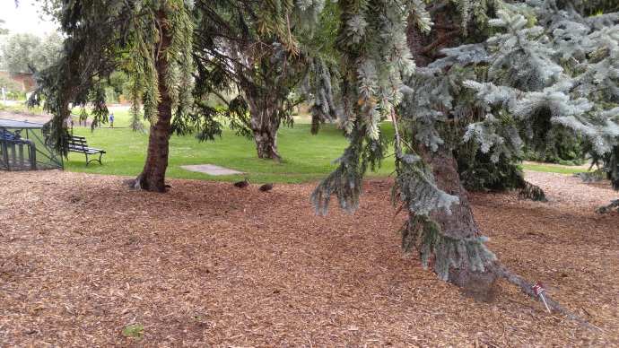 Hobart3-23.jpeg Hobart3 23