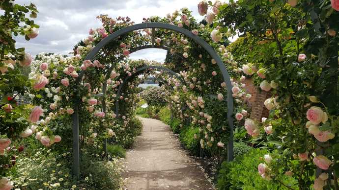 Hobart3-26.jpeg Hobart3 26