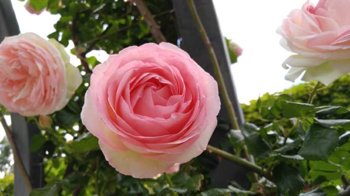 Hobart3-27.jpeg Hobart3 27