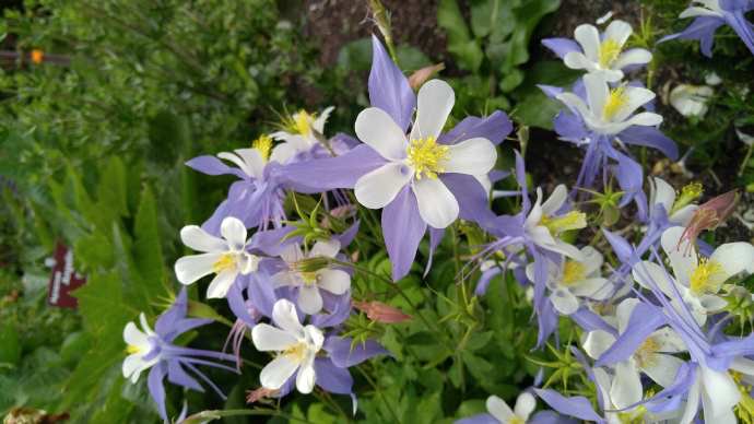 Hobart3-28.jpeg Hobart3 28