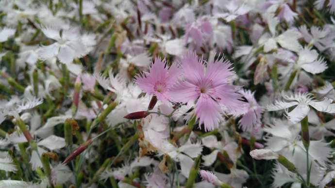 Hobart3-29.jpeg Hobart3 29