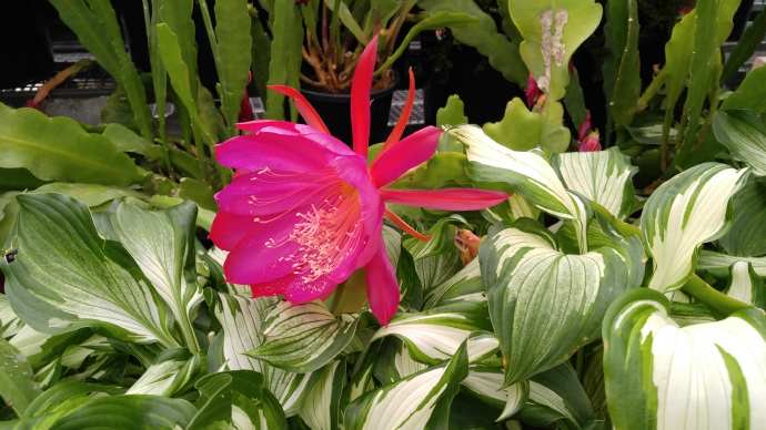 Hobart3-30.jpeg Hobart3 30