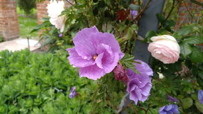 Hobart3-31.jpeg Hobart3 31