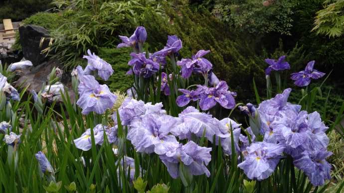 Hobart3-33.jpeg Hobart3 33