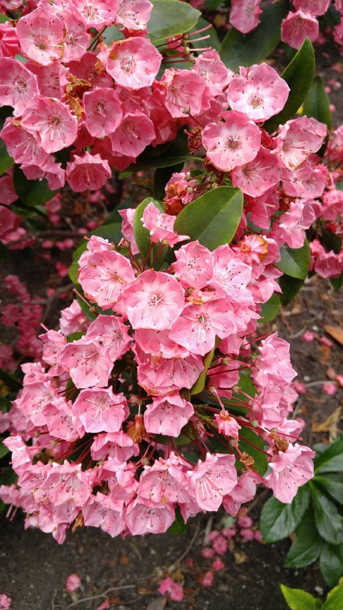 Hobart3-34.jpeg Hobart3 34