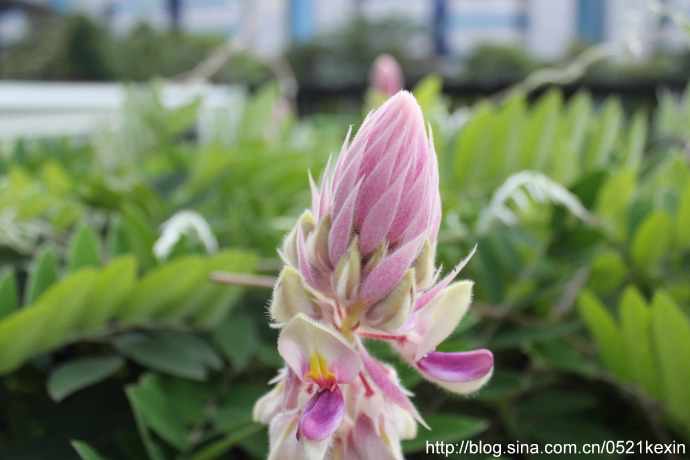 HortPark-07.jpeg HortPark 07